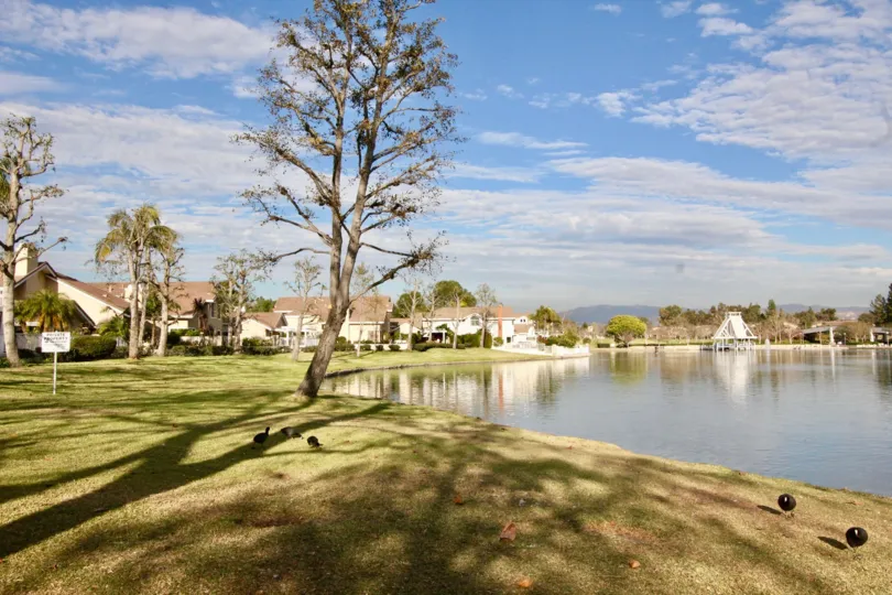 Fabulous view of a lake near villas with trees and lawn in Seaport of Irvine