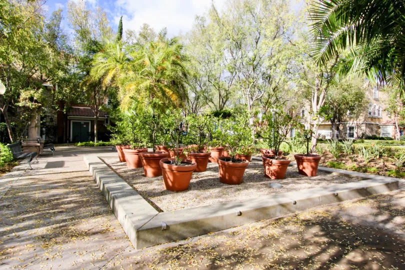 A group of potted plants in a raised curb in the Terra Bella community