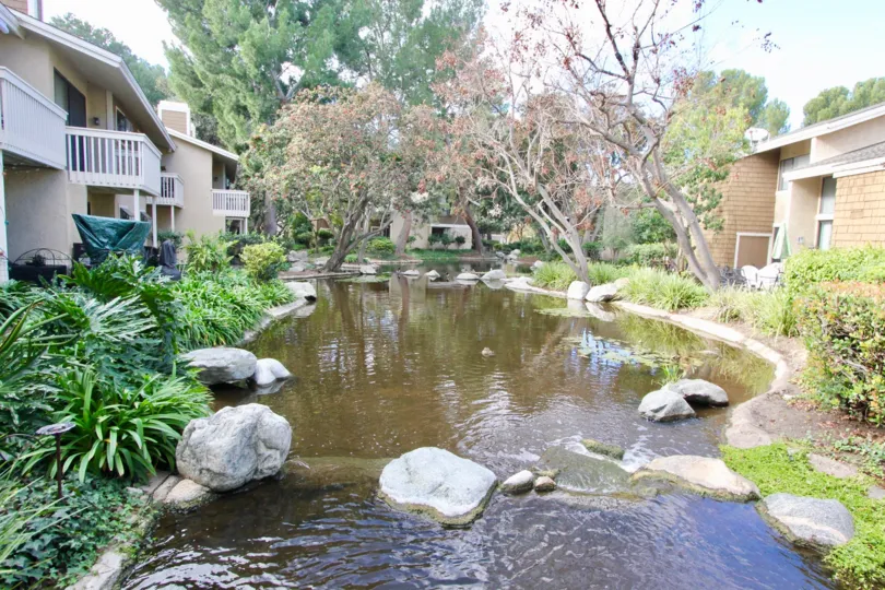 The beautiful moments of my life never before in Irvine California with a good infrastructure