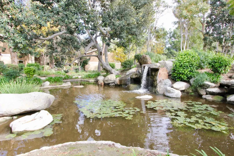 The beautiful moments of my life never before in Irvine California with a good infrastructure