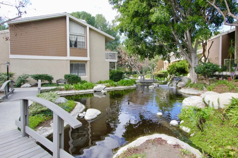 The beautiful moments of my life never before in Irvine California with a good infrastructure