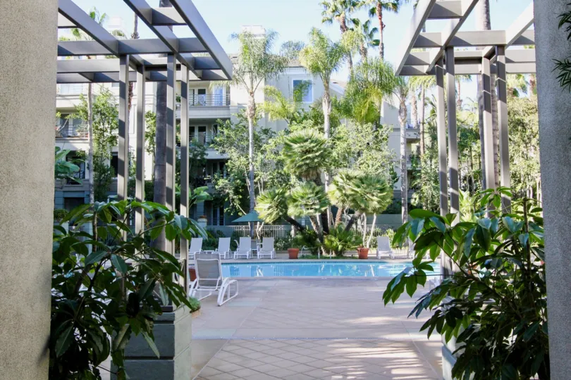 A sunny day in the area of The Metropolitan, outside, pool, palm tree, bush, wood, high rise, condo