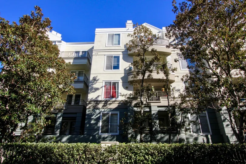 a warn day in the The Metropolitan with a building that has tall trees in the garden around