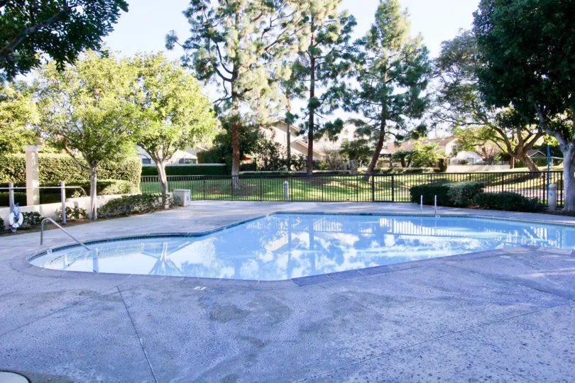 Trees reflecting in the pool at Village Glen in Irvine, CA