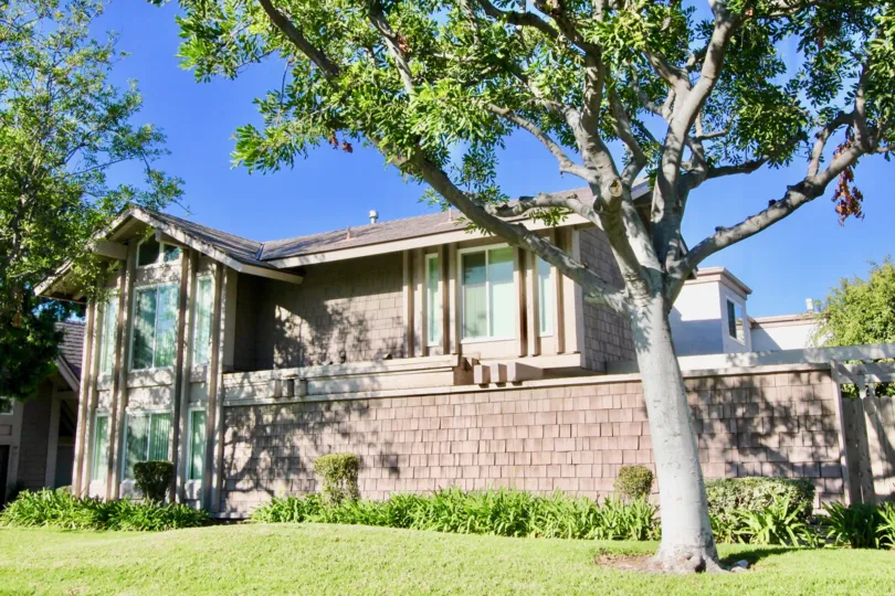 A sunny day in the walnut square with beautiful home, lawn and big trees. fully green plants