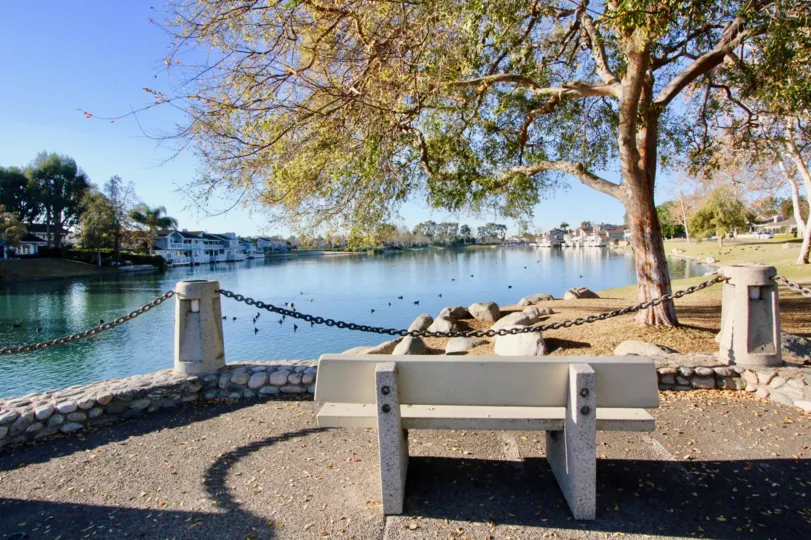 a sunny day at the lake in Willow Creek with a bench under a tree