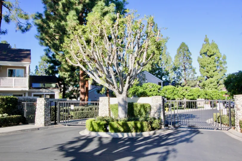 Excellent entrance view with sunshine and trees near Woodbridge Cove of Irvine