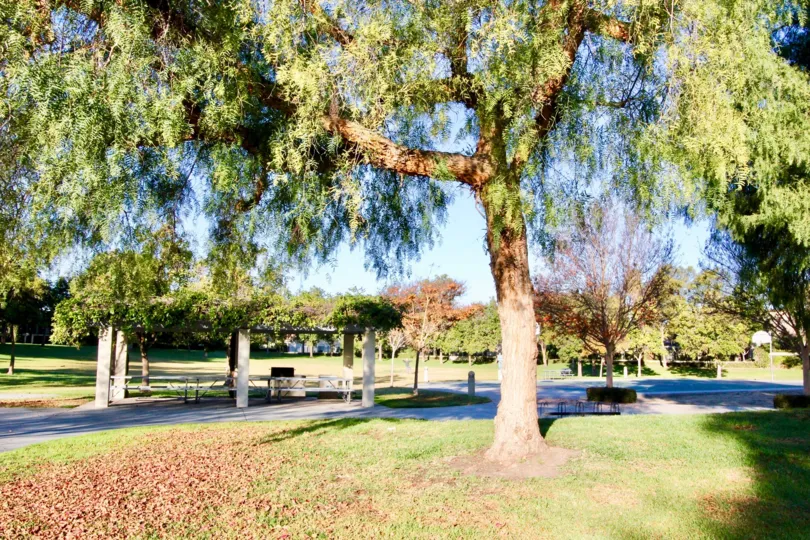 A sunny day in park at Woodbridge estates with a covered picnic table area and basketball court