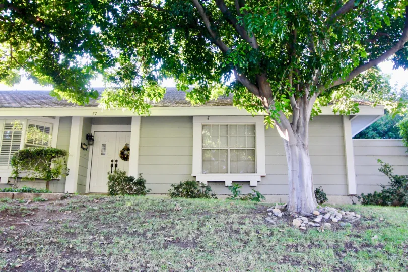 The front of a paneled house with a large tree and patchy grass