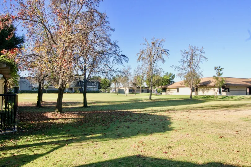 An empty park in the Woodbridge Grove community with trees and fallen leaves.