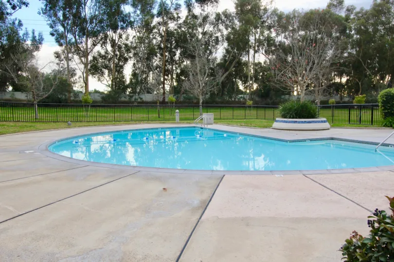 A sunny day in the area of Woodbridge Reserve, outside, pool, trees, bushes, fence