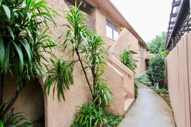 THIS IMAGE SHOWS THE PATHWAY TO THE HOME IN LA HABRA THAT SHOWS LOT OF PLANTS
