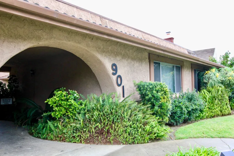 THE 901 APARTMENT IN THE CERRO DEL REY WITH THE PLANTS, TREES, LAWN