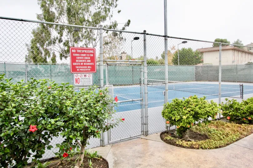THE SWIMMING POOL LOCATED IN LA HABRA IN SURROUNDING MANY TREES, PLANTS ARE THERE