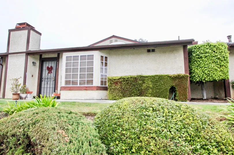 THE FLAT IN THE ERNA DEL PLACE WITH THE PLANTS, FLOWER POTS, TREES