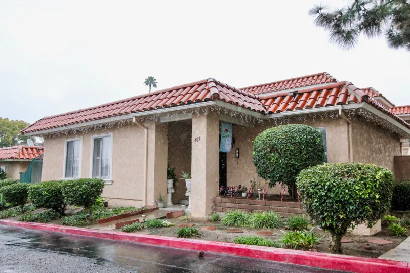 THE 805 APARTMENT IN THE FASHION KNOLLS WITH THE PLANTS, TREES
