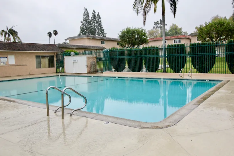 A blue color swimming pool in the Fashion Knolls with tree.
