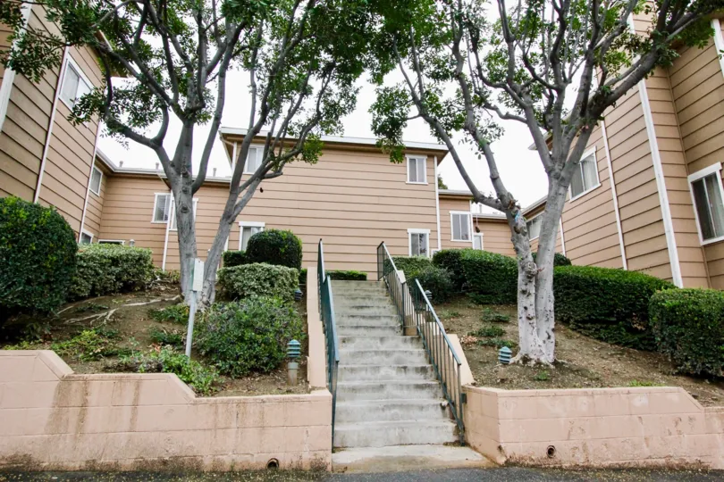Side to the stairs way in La Plaza Habra has tall trees with cutted bushes in sand
