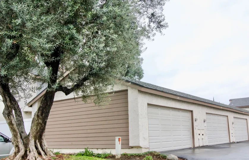 A big tree in the Sunny Hills Village with a garage.