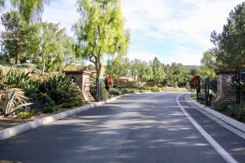 Nice approach road with greenary and trees around in Castellina of Ladera Ranch