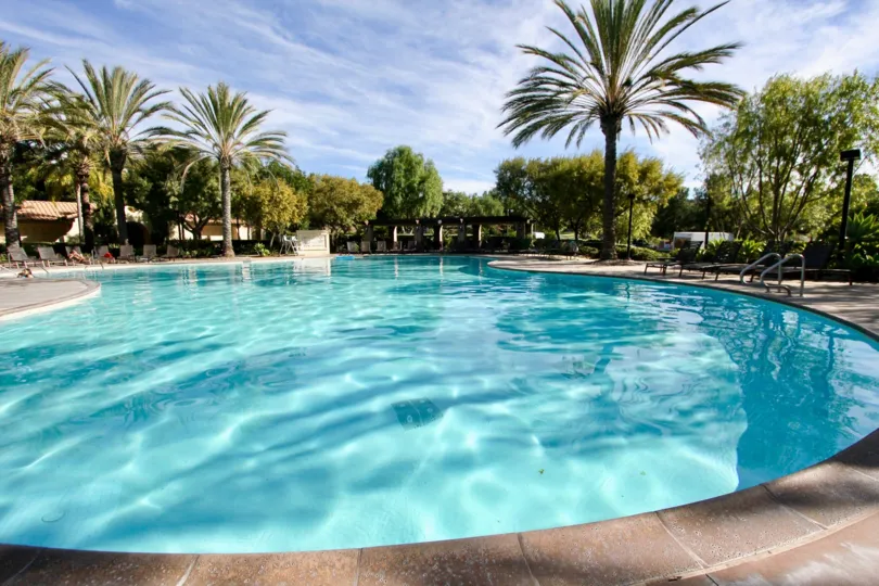 Clear blue, circular swimming pool under palm trees in Castellina.