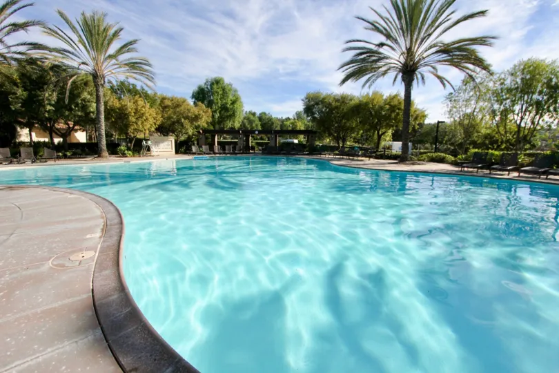 A sunny day in the area of Castellina, poolside, palm trees, water, chairs
