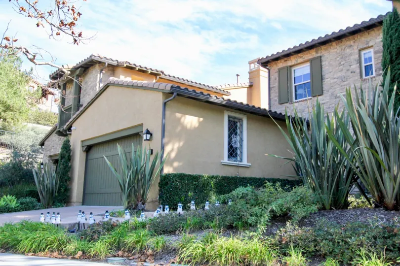 Beautiful Aloevera plants in front of villa in Castellina in Ladera Ranch