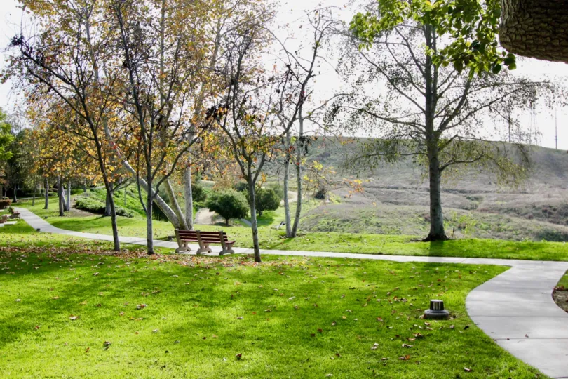 Nice park with sitting and green lawn with trees of Chambray in Ladera Ranch