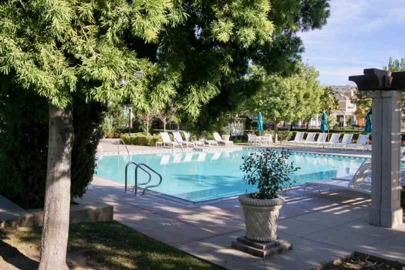 Tree and pool at Charleston Place in Ladera Ranch, CA