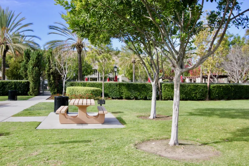 the beautiful garden with some benches and lot of trees