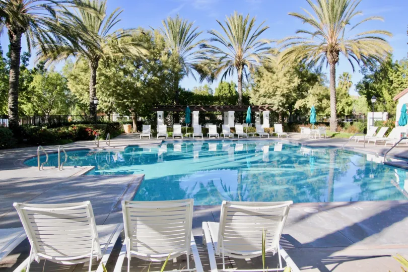 Nice swimming pool with sitting area and palm trees in St. Mays Road of Ladera Ranch