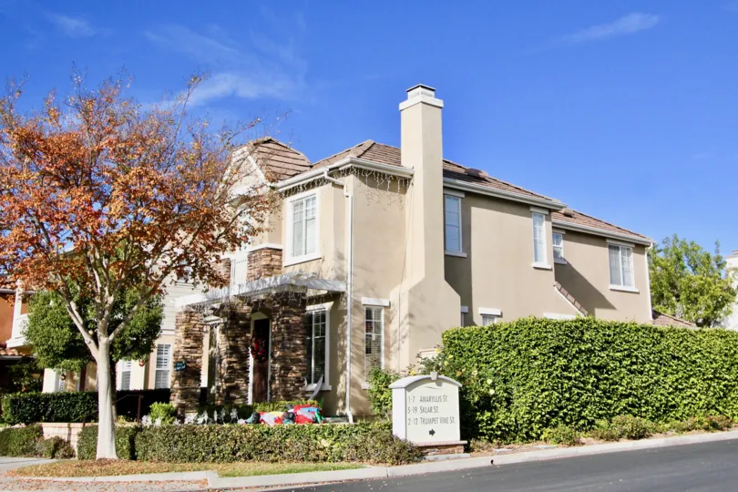 Trees and hedges at St. Mays Road in Ladera Ranch, CA