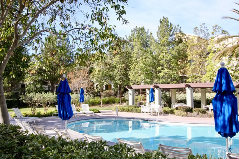 A SIGHT OF BEAUTIFUL SWIMMING POOL EQUIPPED WITH SOME CHAIRS & WITH HUGE GREEN AREA