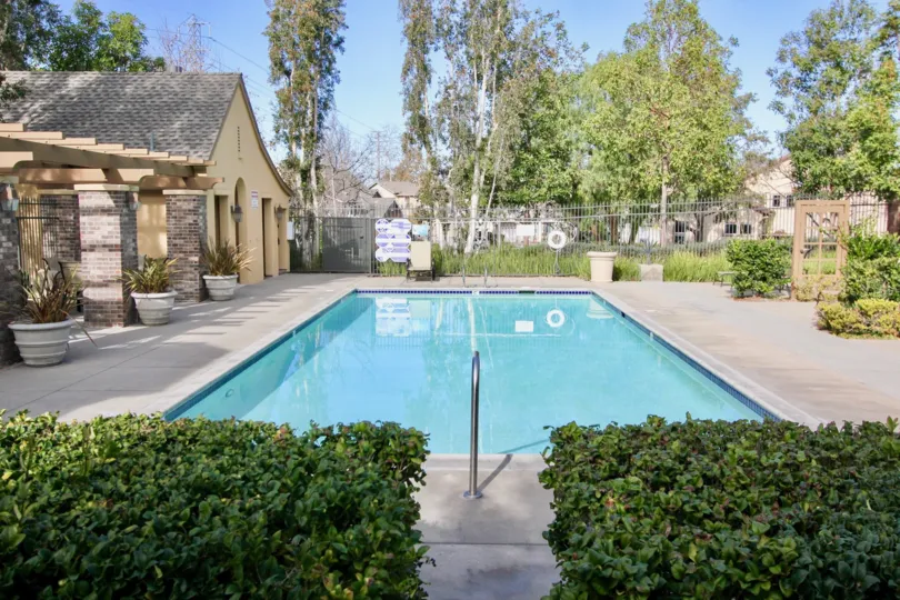 backyard swimming pool in the Sycamore Grove community of Ladera Ranch