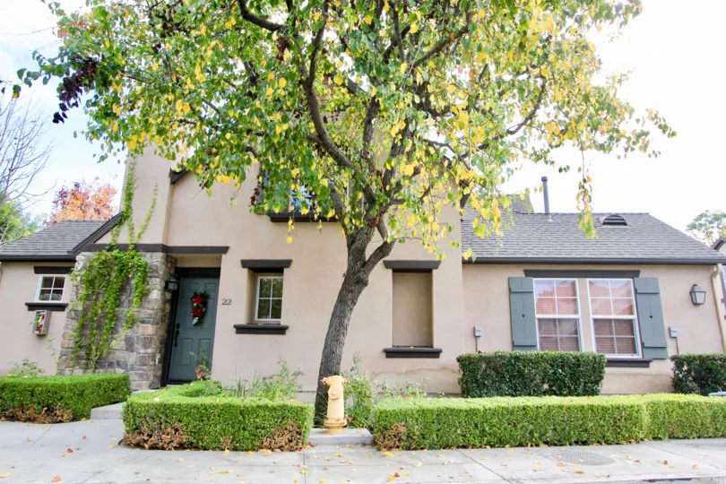 Sidewalk and lawn in the Three Vines in Ladera Ranch, CA