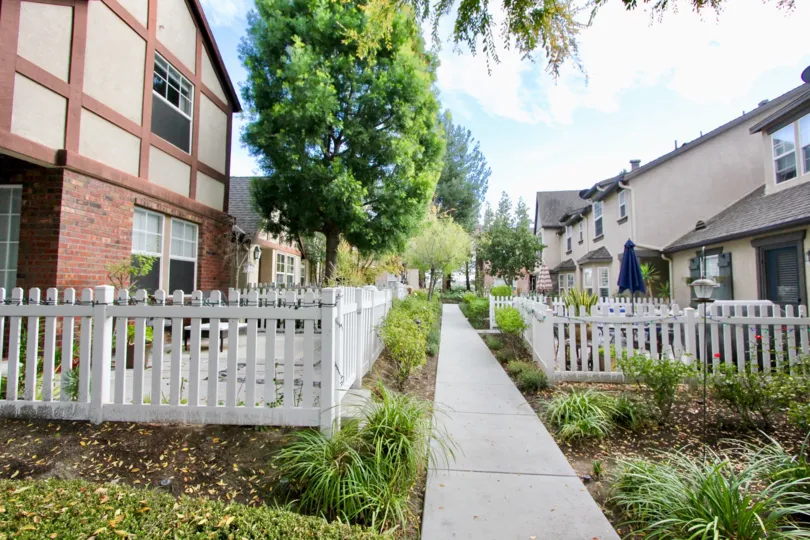 A SIGHT OF MIDWAY BETWEEN TWO BUILDING WITH HUGE GREEN AREA IN THREE VINES