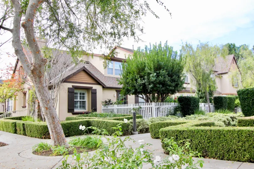 THE THREE VINES IS VERY BEAUTIFUL FOR SITE SEEING IN LADERA RANCH
