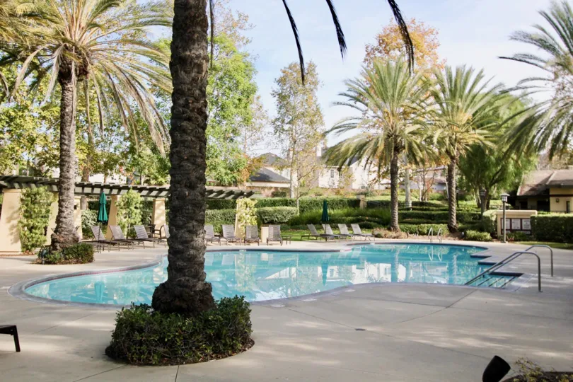 Private swimming pool with surrounding greenspace and large pool deck, mature palm trees and ample seating at the Trails