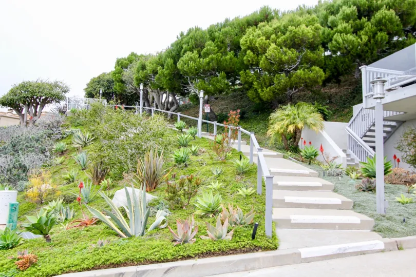 Lovely Aliso Laguna In Laguna Beach California Country