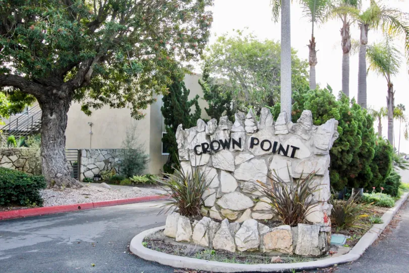 A day in the Crown Point with some palm trees and plants.