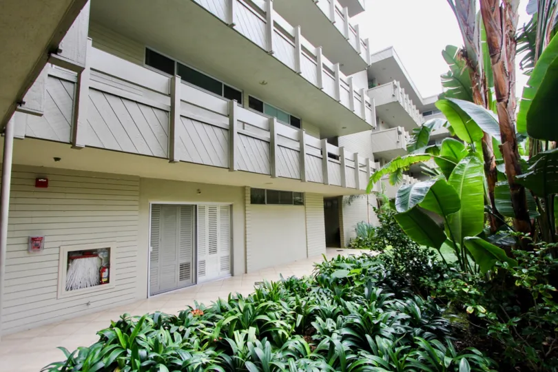 THE HOUSE IN THE LAGUNA LIDO WITH THE FIRE SAFETY, BANANA TREE, PLANTS