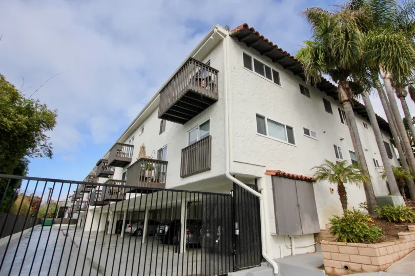 the woods cove is a coconut tree height house of the laguna beach in ca