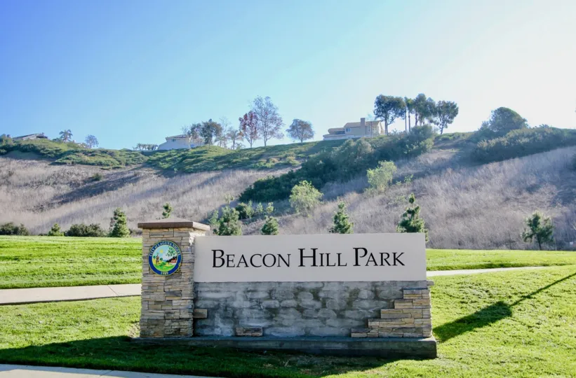 THE HILLS IN THE BEACON HILL TERRACE WITH THE GRASSES, PLANTS, TREES, HOUSES