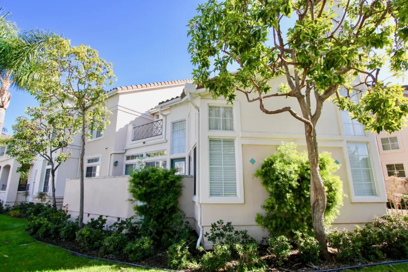 THE BUNGALOW IN THE BREAKERS WITH THE GRASSLAND, TREES, PLANTS