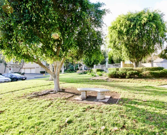 Beautiful green park with trees and carparking in Bridgeport Terrace of Laguna Niguel