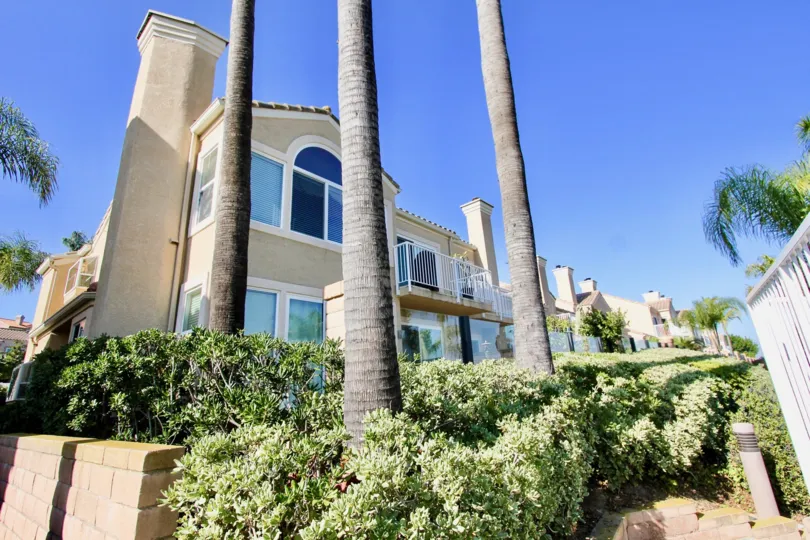 Three palm trees in front of a building in the Capri.