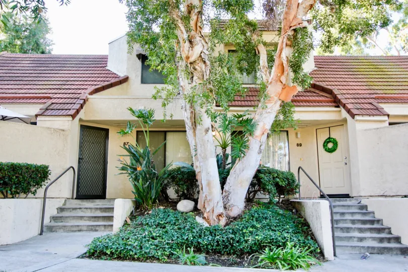 Beautiful front approach of plants and trees in Crystal Cay of Laguna Niguel