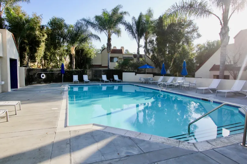 THE HOUSE IN THE CRYSTAL CAY WITH THE SWIMMING POOL, CHAIRS, UMBRELLA, COCONUT TREE