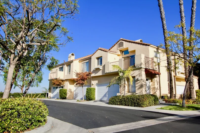 The trunk of three palm trees are visible next to a townhome at Encore homes