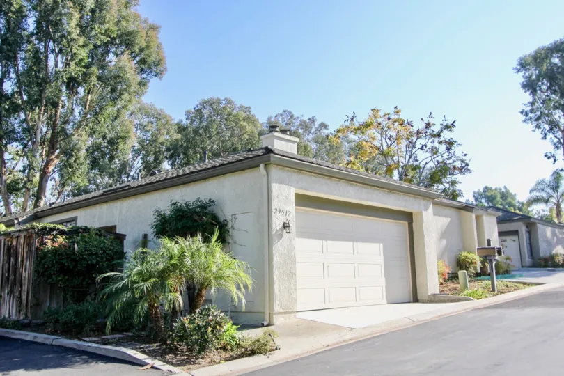 Small palm trees by the Foothill Townhomes in Laguna Niguel California